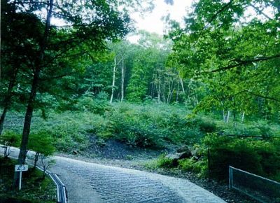 旧軽離山リゾート5区画一括